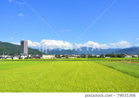 JR東日本山形線新莊站與赤湯站之間的車窗景觀與車站景觀(2020年夏季) JR東日本山形線新莊站與赤湯站之間的車窗景觀與車站景觀(2020年夏季) 79035366