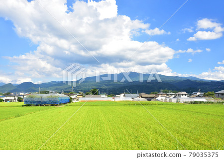 In the summer of 2020, the scenery of the train window and the scenery of the station between Shinjo Station and Akayu Station on the Yamagata Line In the summer of 2020, the scenery of the train window and the scenery of the station between Shinjo Station and Akayu Station on the Yamagata Line 79035375