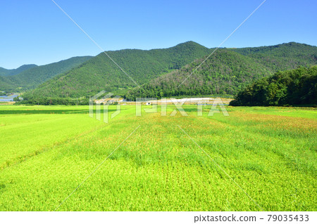 In the summer of 2020, the scenery of the train window and the scenery of the station between Shinjo Station and Akayu Station on the Yamagata Line 79035433