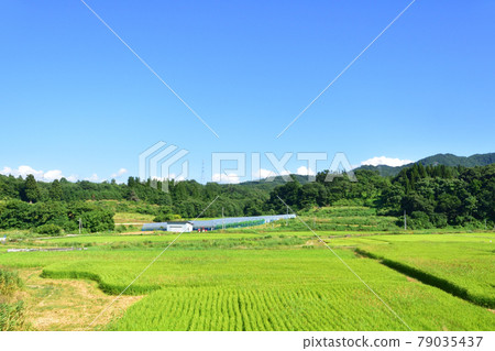 2020年夏天，山形線新莊站與赤湯站之間的電車窗外風景 79035437