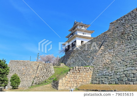 [Kagawa Prefecture] Marugame Castle in spring when cherry blossoms bloom (existing castle tower and stone wall famous castle) 79035635