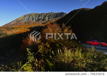 Autumn Oyama Autumn Oyama 79035658