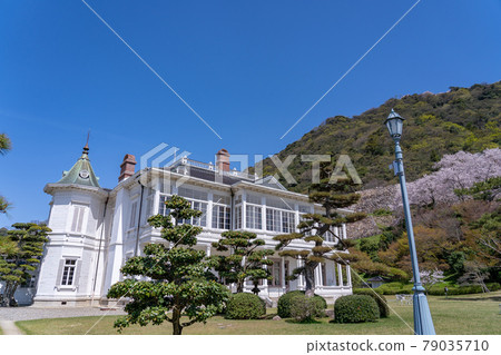 鳥取縣鳥取市春天鳥取城和粉筆西式建築神風閣 鳥取縣鳥取市春天鳥取城和粉筆西式建築神風閣 79035710