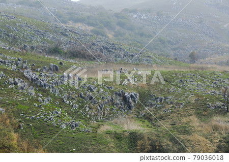 Hiraodai karst plateau 79036018