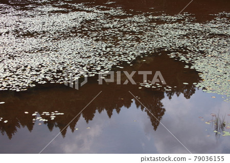 Kashihara Mire 79036155