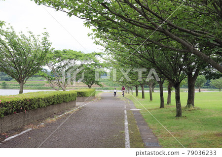 北形湖嗡鳴路（福井縣蘆原市） 79036233