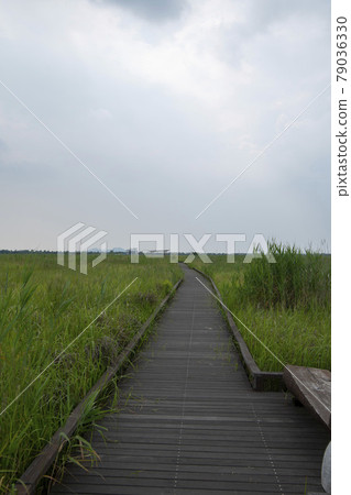 Dinosaur Egg Fossil Site, Hwaseong-si, Gyeonggi-do 79036330