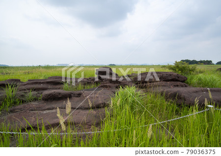 京畿道華城市恐龍蛋化石遺址 79036375