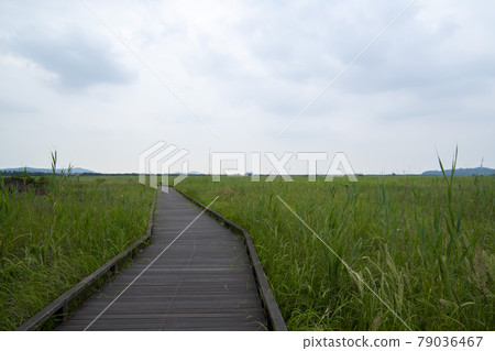 京畿道華城市恐龍蛋化石遺址 79036467