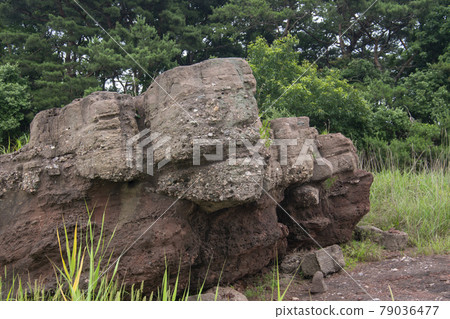 京畿道華城市恐龍蛋化石遺址 京畿道華城市恐龍蛋化石遺址 79036477