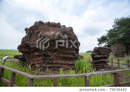 京畿道華城市恐龍蛋化石遺址 京畿道華城市恐龍蛋化石遺址 79036482
