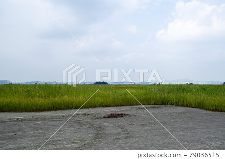 京畿道華城市恐龍蛋化石遺址 京畿道華城市恐龍蛋化石遺址 79036515
