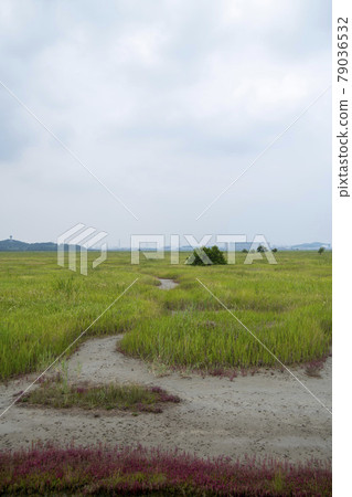 京畿道華城市恐龍蛋化石遺址 79036532