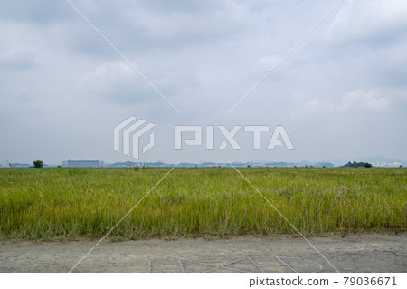 京畿道華城市恐龍蛋化石遺址 79036671