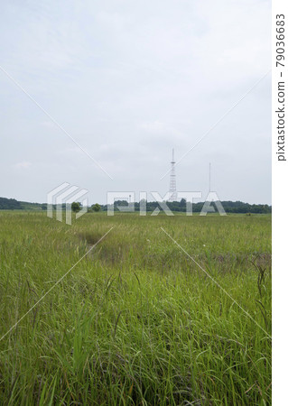 Dinosaur Egg Fossil Site, Hwaseong-si, Gyeonggi-do Dinosaur Egg Fossil Site, Hwaseong-si, Gyeonggi-do 79036683