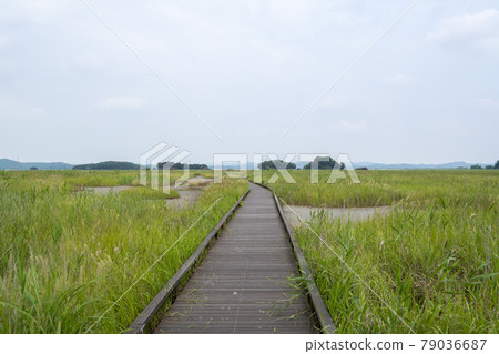 京畿道華城市恐龍蛋化石遺址 79036687