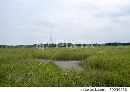 京畿道華城市恐龍蛋化石遺址 79036688