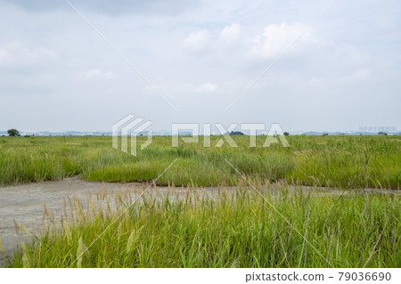 京畿道華城市恐龍蛋化石遺址 79036690