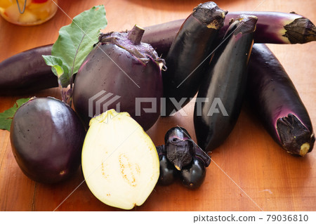 Eggplant type 05 Eggplant type 05 79036810