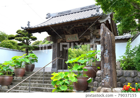 光正寺三門 79037155