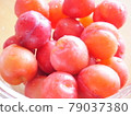 Plum fluffy 79037380