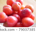 Plum vague 79037385