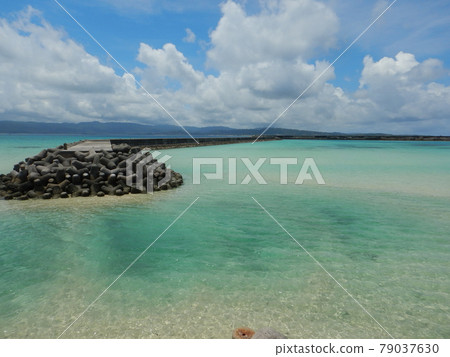 Low tide between hatoma Low tide between hatoma 79037630