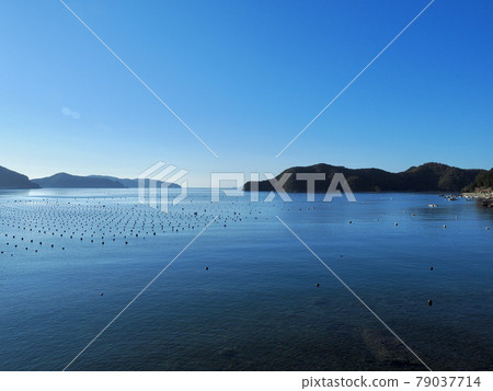 愛媛縣愛南町的海與農場 79037714