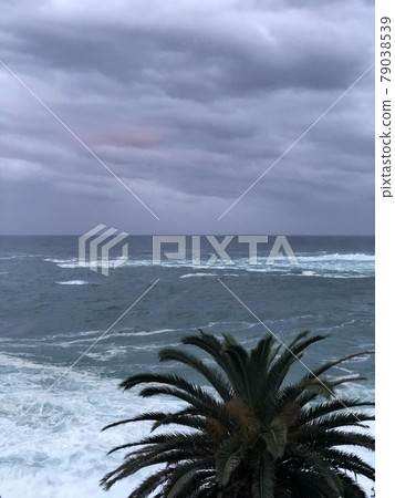 Cloudy sky, sea and palm trees 79038539