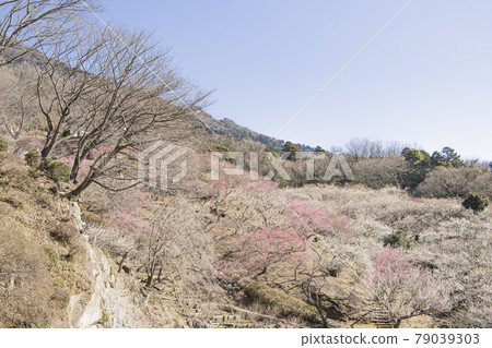 Mt. Tsukuba Bairin Mt. Tsukuba Bairin 79039303
