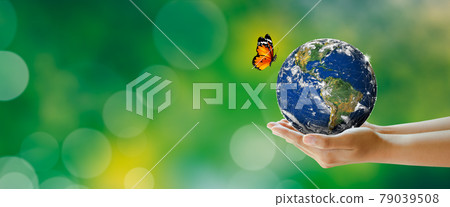 Hand holding earth with butterfly over green blur background. Saving Planet, Protect green nature and ecology, Sustainable lifestyle. World Environment and Green concept. Elements furnished by NASA. Hand holding earth with butterfly over green blur background. Saving Planet, Protect green nature and ecology, Sustainable lifestyle. World Environment and Green concept. Elements furnished by NASA. 79039508