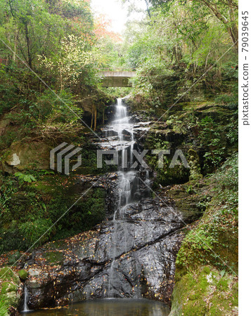 Tsuzumi Falls at Ryuzoji Temple in Yamaguchi City Tsuzumi Falls at Ryuzoji Temple in Yamaguchi City 79039645