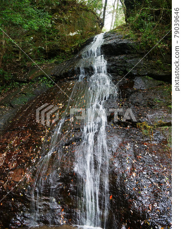 山口市龍藏寺的都筑瀑布 山口市龍藏寺的都筑瀑布 79039646