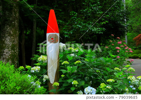 Akiruno City Minamizawa Hydrangea Mountain 79039685