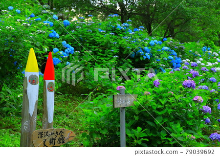 秋留野市南澤繡球山 秋留野市南澤繡球山 79039692