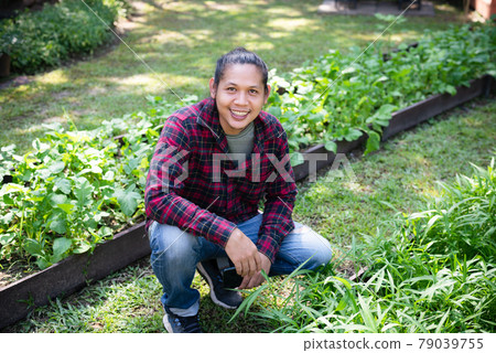 Asian man farmer sitting and smile in organic vegetable garden Asian man farmer sitting and smile in organic vegetable garden 79039755