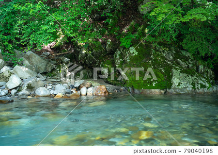 長野縣黑川宮田村的苔蘚和清流的岩石 79040198