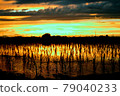 Crops that grow strongly even in the scorching heat 79040233