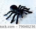 Tarantula on an iron plate 79040236