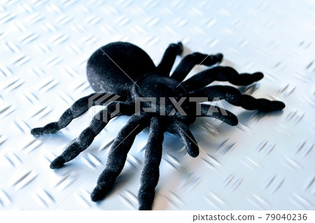 Tarantula on an iron plate Tarantula on an iron plate 79040236