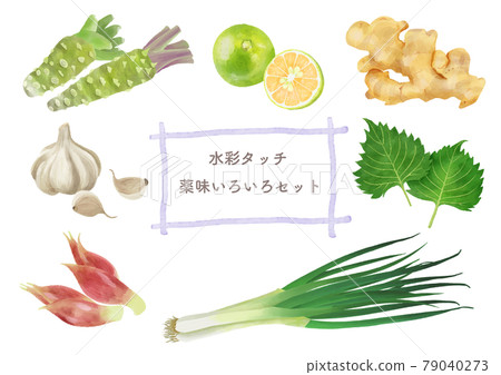 水彩筆觸，各式調味蔬菜 79040273
