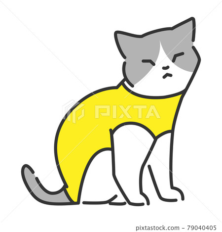 Cats who have undergone neutering and are dressed after surgery Cats who have undergone neutering and are dressed after surgery 79040405