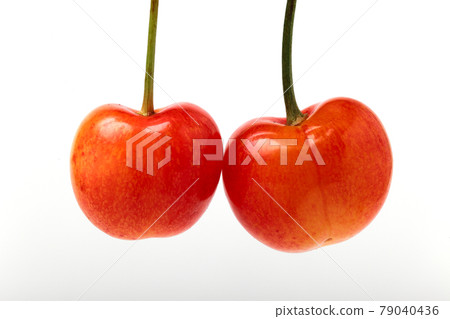 Cherry cherry Cherry cherry 79040436