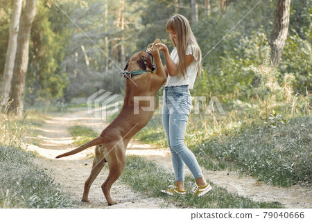 Girl in a summer forest playing with dog Girl in a summer forest playing with dog 79040666