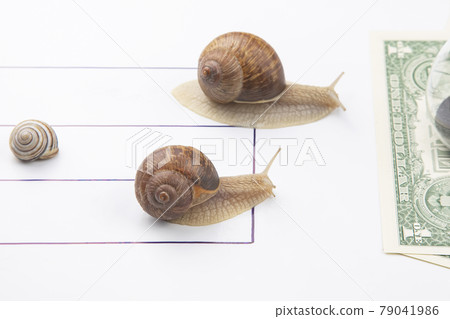 speed to achieve financial well-being. snails run to the finish line with money speed to achieve financial well-being. snails run to the finish line with money 79041986