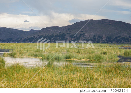 的喀喀湖 79042134