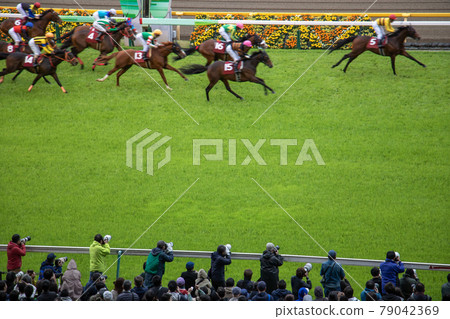 Horse racing goal 79042369