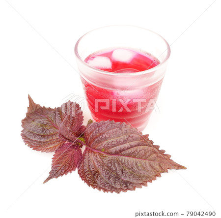 紅紫蘇汁 79042490