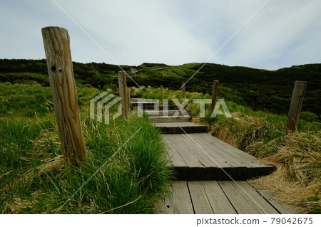 Boardwalk near the summit Boardwalk near the summit 79042675