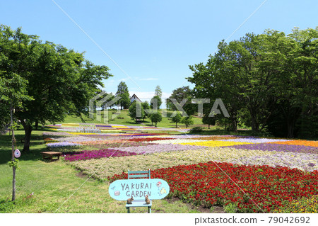 Spring Yakurai Garden, flower garden and blue sky Spring Yakurai Garden, flower garden and blue sky 79042692